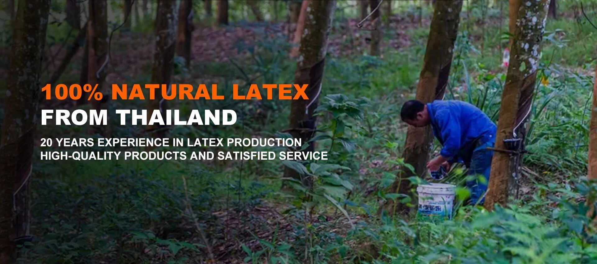 Proveedor de colchones de látex natural
